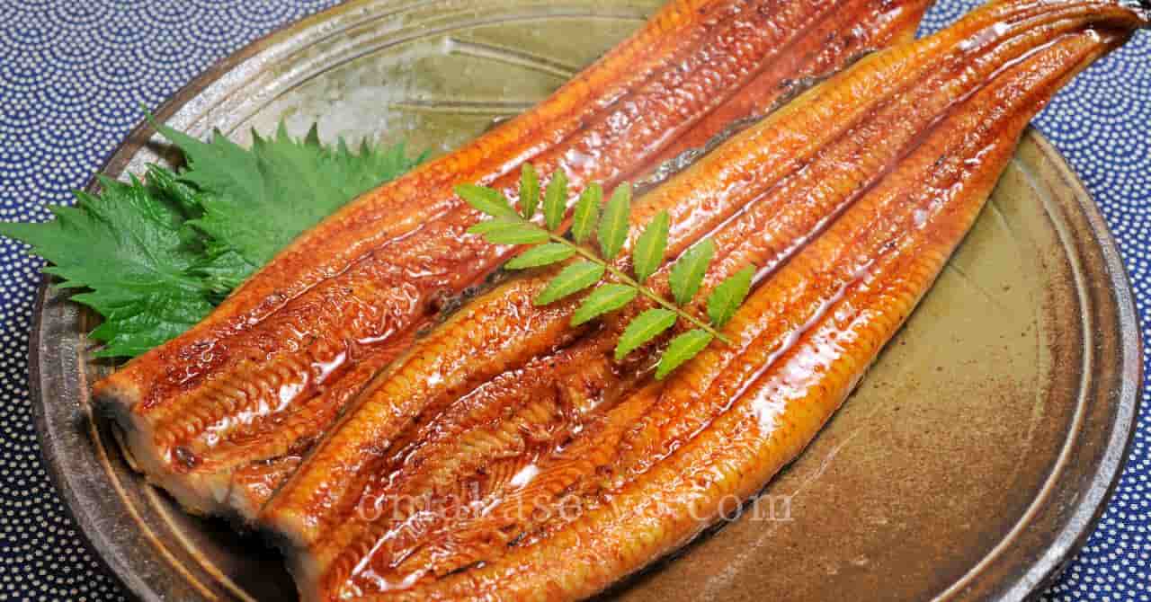 皿の上に盛りつけられた2枚の大ぶりなうなぎの蒲焼き。光沢のあるタレと葉の飾りが添えられており、うなぎの高騰や資源問題について説明する記事のビジュアルに使用。